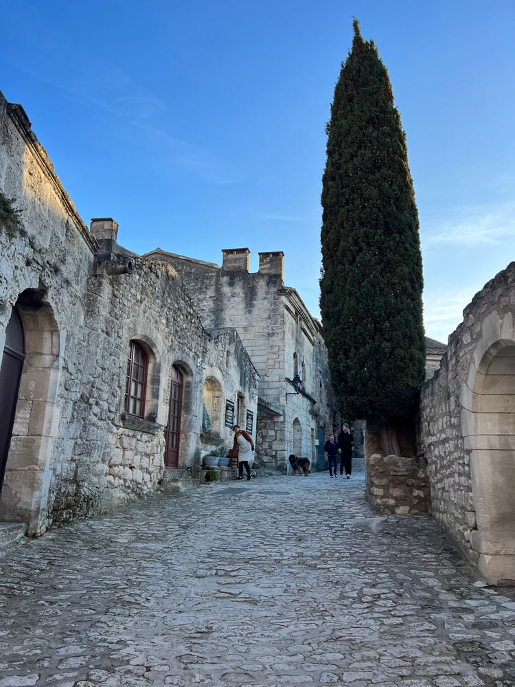 Stone street with old buildings and a tall cypress tree under a blue sky