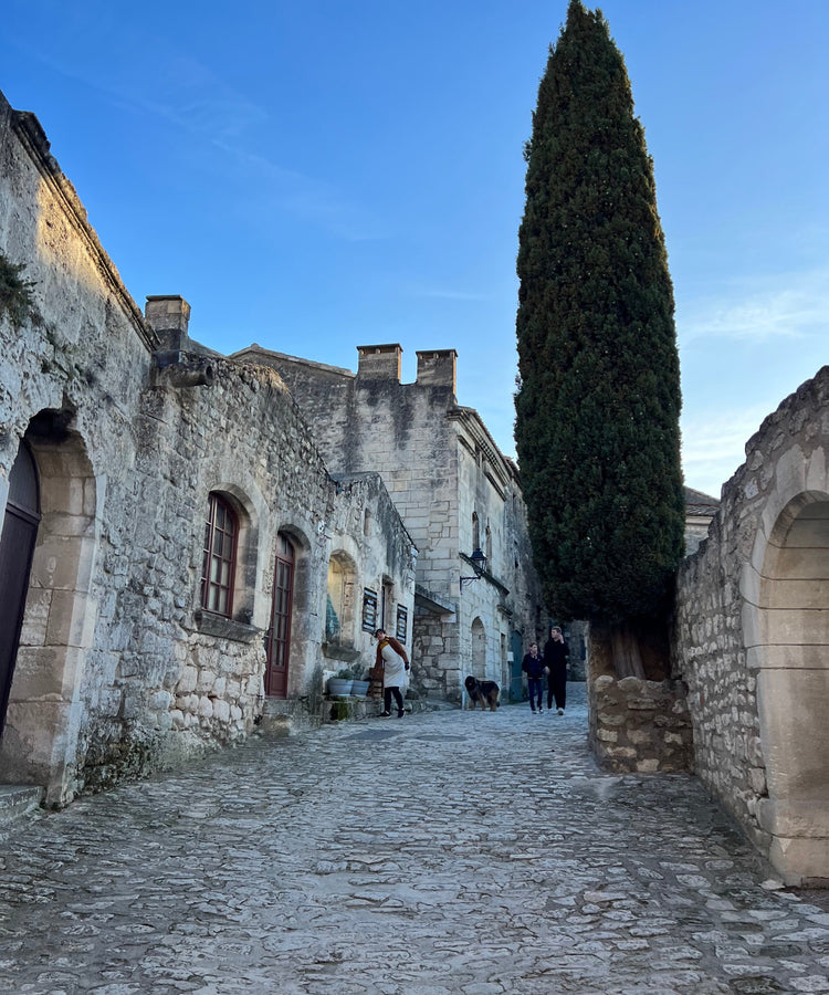 Stone street with old buildings and a tall cypress tree under a blue sky
