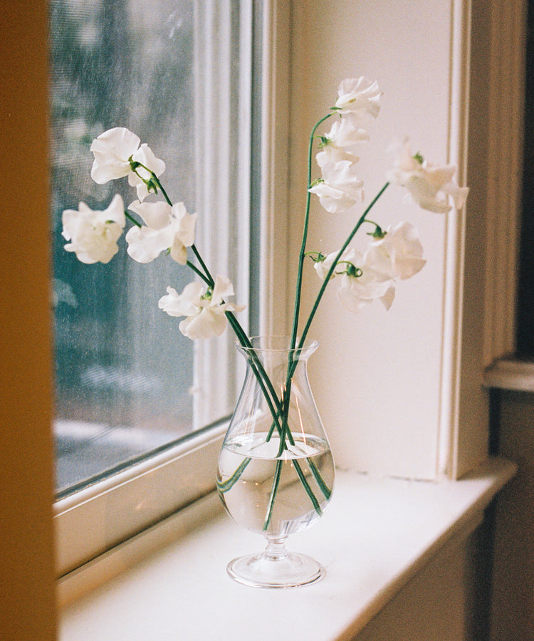 Julia Vase in situ with sweet pea flowers on windowsill.