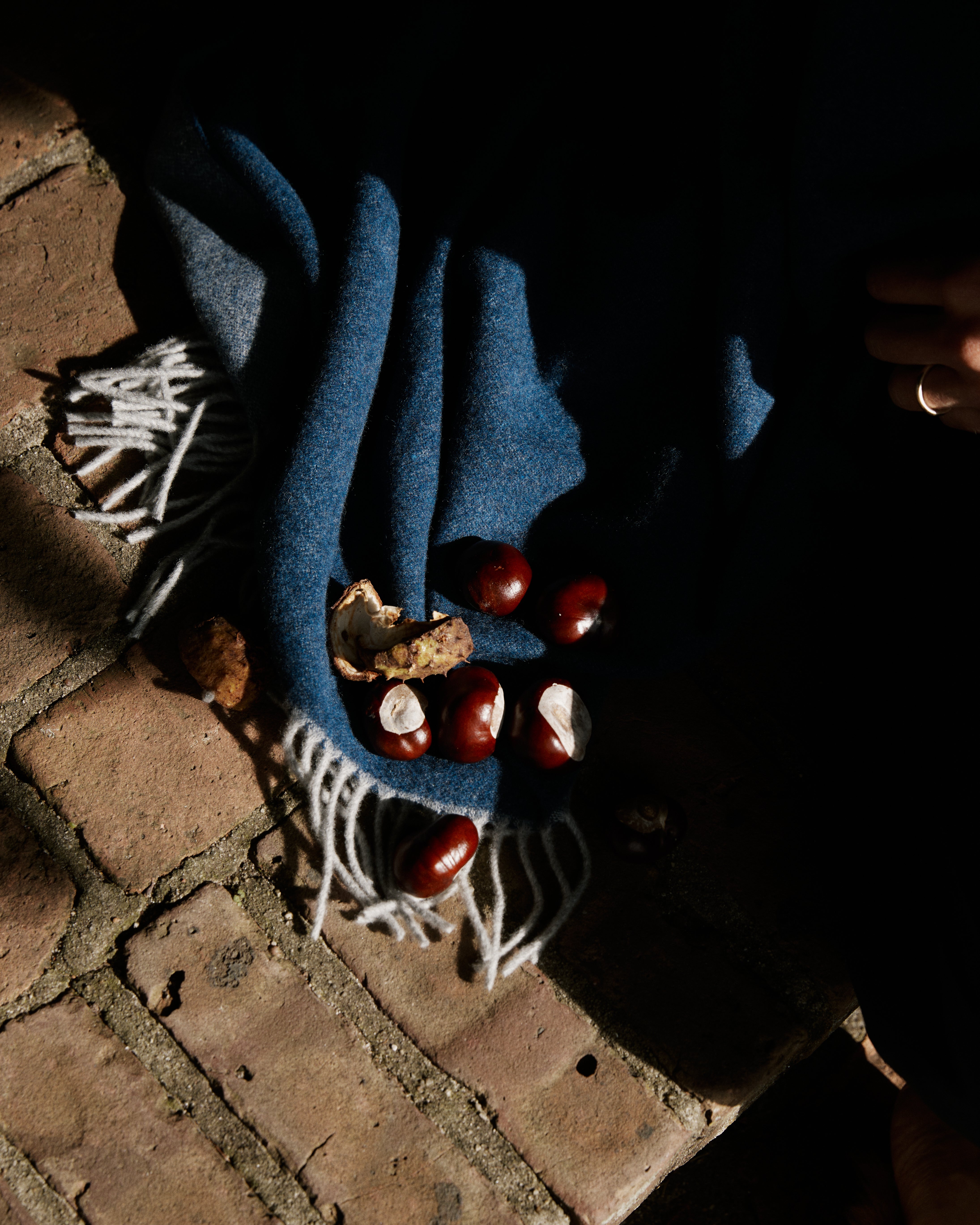 Several chestnuts and an open husk rest on the Ulisse Throw, oceanic blue with white fringe, placed on bricks in partial sunlight.