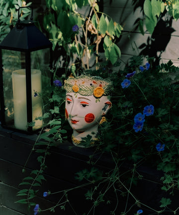 Testa di Moro, Alfonsina