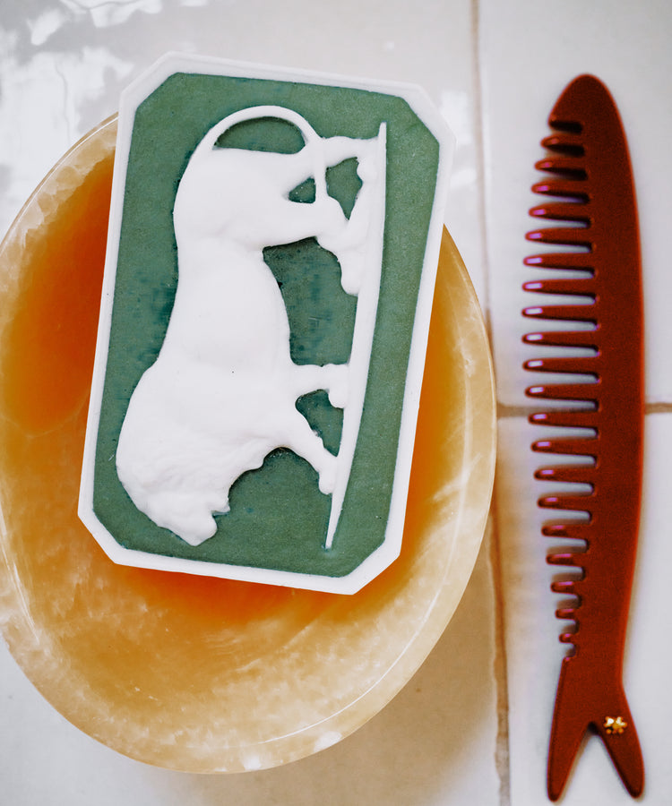 The Clean & Comb Bundle features a green and white rectangular Ancient Lion soap with a raised bull design on a round dish, next to a brown Capri sardine comb, both arranged on a tiled surface.