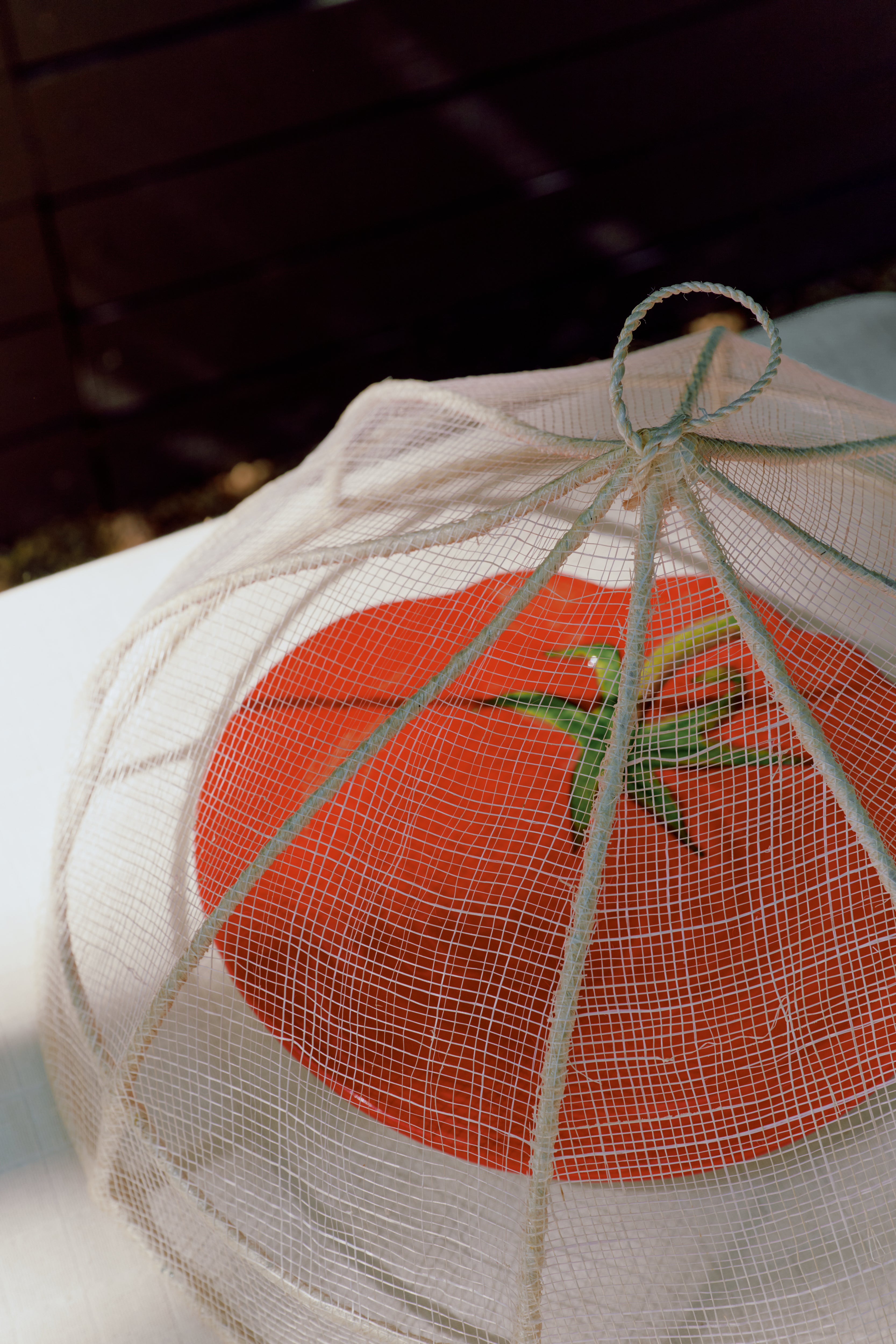A large red tomato on a plate is protected by the Viola Foodcover, a handwoven mesh cover, on a white table—ideal for outdoor dining.