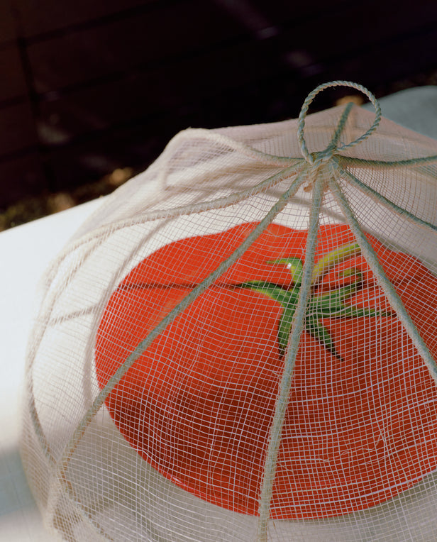 A large red tomato on a plate is protected by the Viola Foodcover, a handwoven mesh cover, on a white table—ideal for outdoor dining.