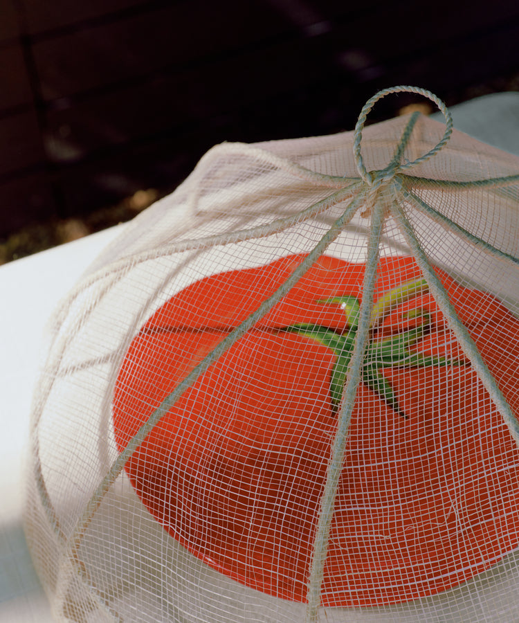 A large red tomato on a plate is protected by the Viola Foodcover, a handwoven mesh cover, on a white table—ideal for outdoor dining.