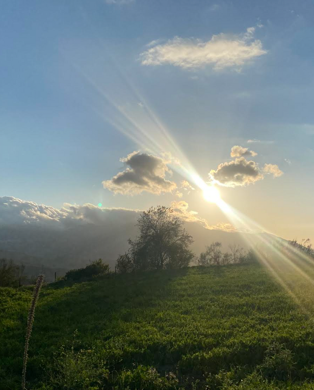 cloudy sky with sun rays and green grass
