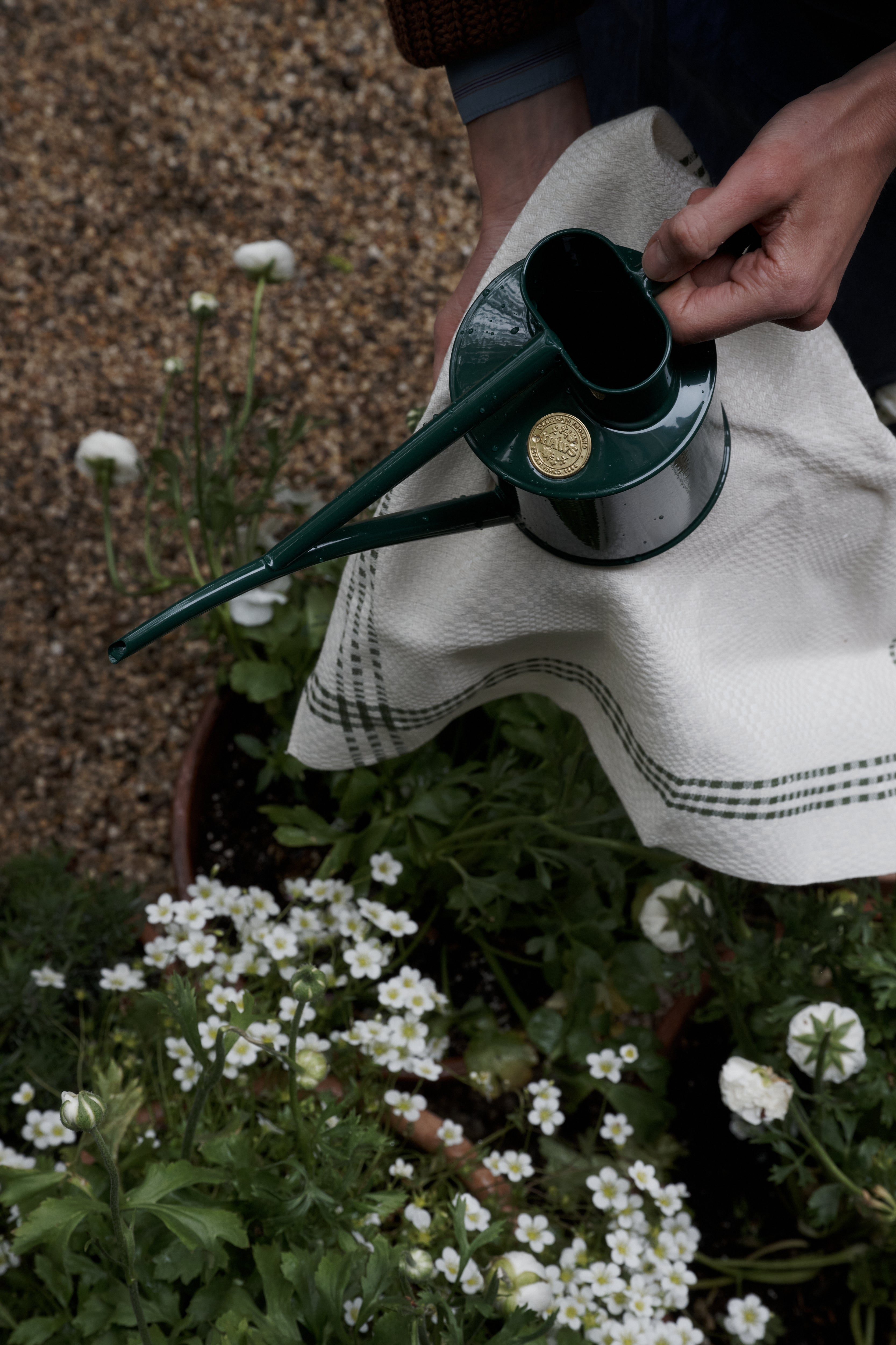 A person holds a green metal watering can and the Tilde Napkin, Set of 6—a white towel featuring the elegant Daldräll pattern inspired by traditional Swedish napkins and crafted from a soft cotton and linen blend—as they prepare to water white flowers in an outdoor garden.