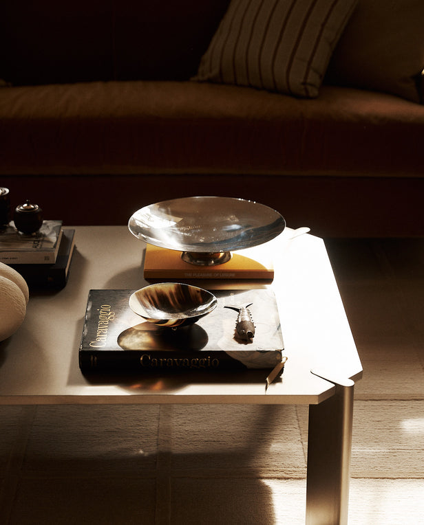 coffee table and sofa with natural light