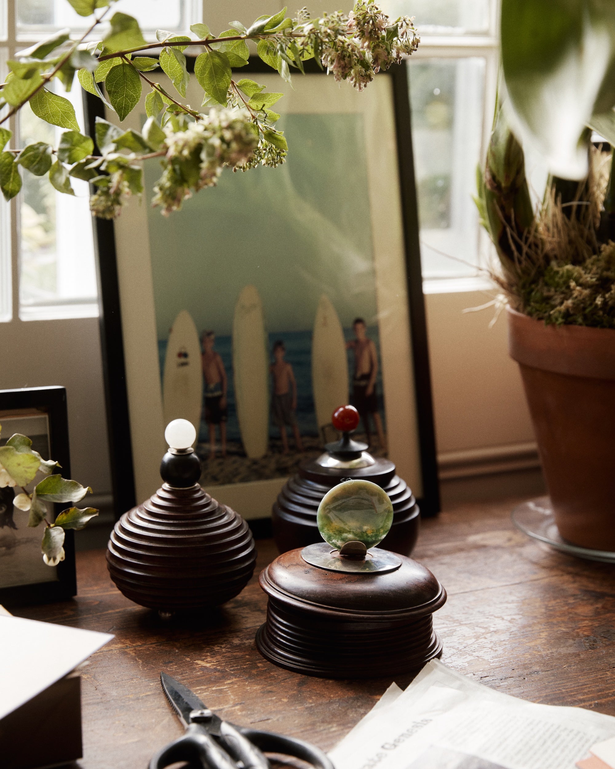 A Curiosity Box sits on a wooden desk alongside a framed surfer photo, plants, scissors, and a newspaper.