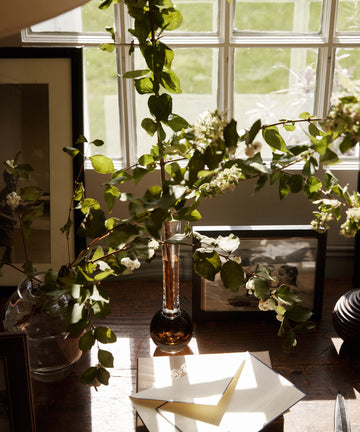 Sunlight illuminates a wooden table with a Pallino Bud Vase holding leafy branches, framed photos, and an open envelope by the window.
