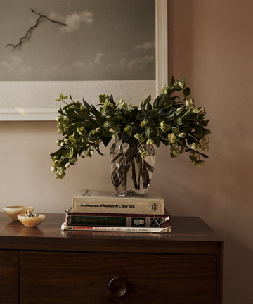 The Carlotta Vase, filled with green foliage, sits atop a stack of books on a wooden dresser; nearby, a framed photo and small dish lend the scene an understated touch of Bohemian artistry.