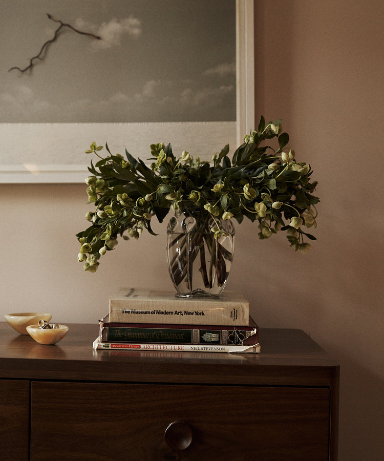 The Carlotta Vase, filled with green foliage, sits atop a stack of books on a wooden dresser; nearby, a framed photo and small dish lend the scene an understated touch of Bohemian artistry.