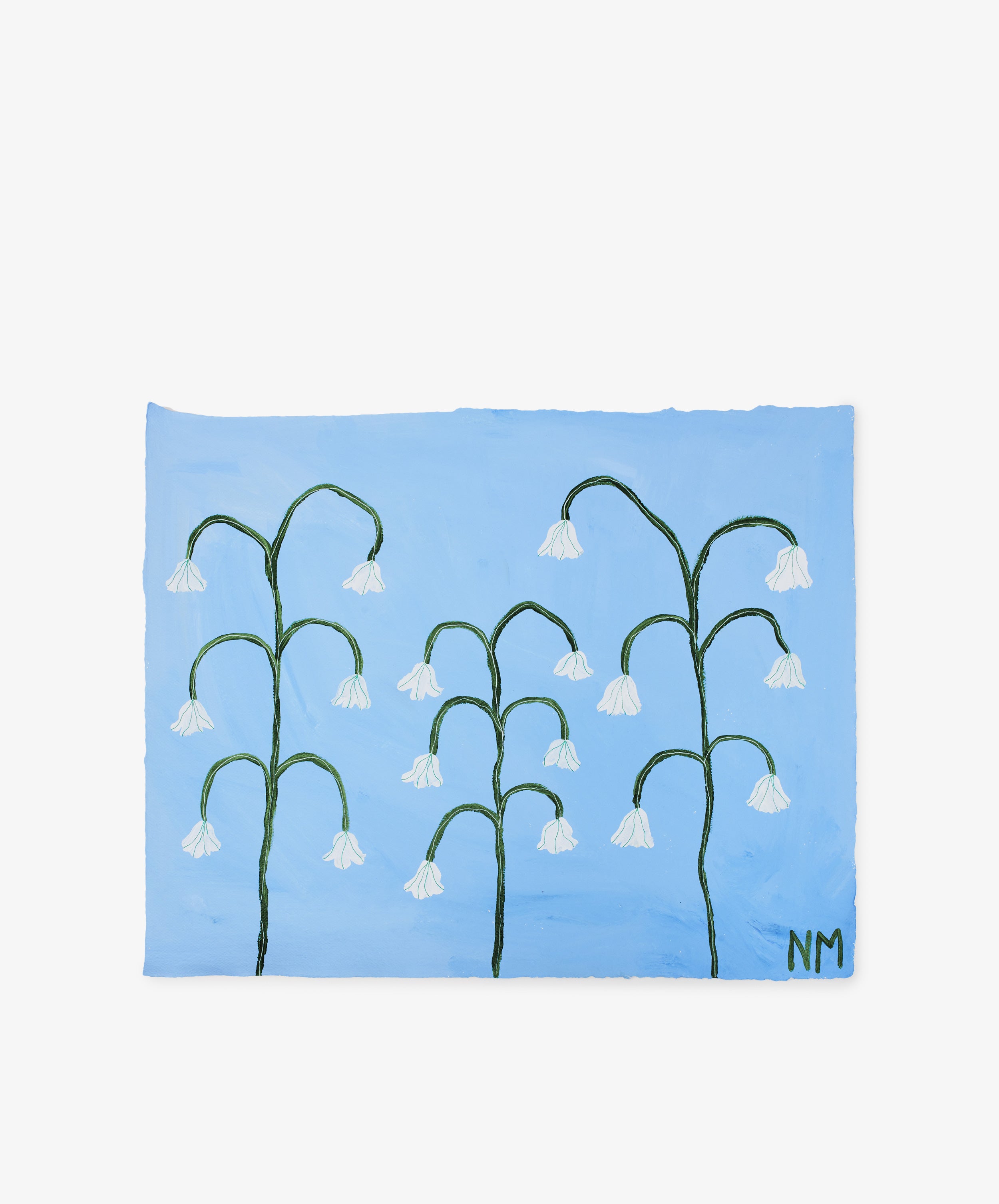 Snow Drops: Painting of three groups of white, bell-shaped flowers with green stems on a blue background; the initials NM appear in the lower right corner, referencing Nancy McKie’s Field Studies series.