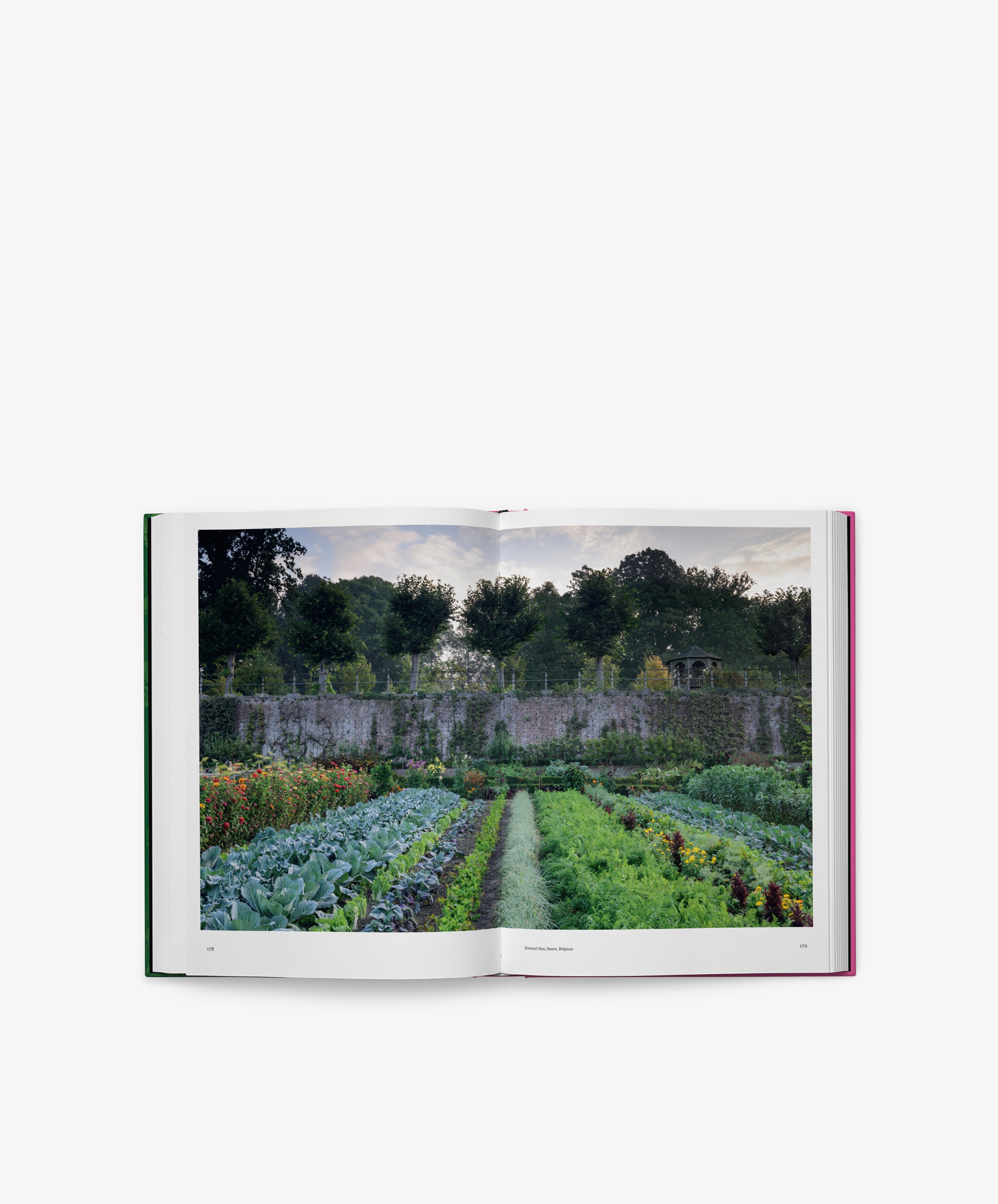An open copy of 