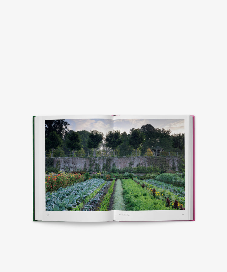 An open copy of 