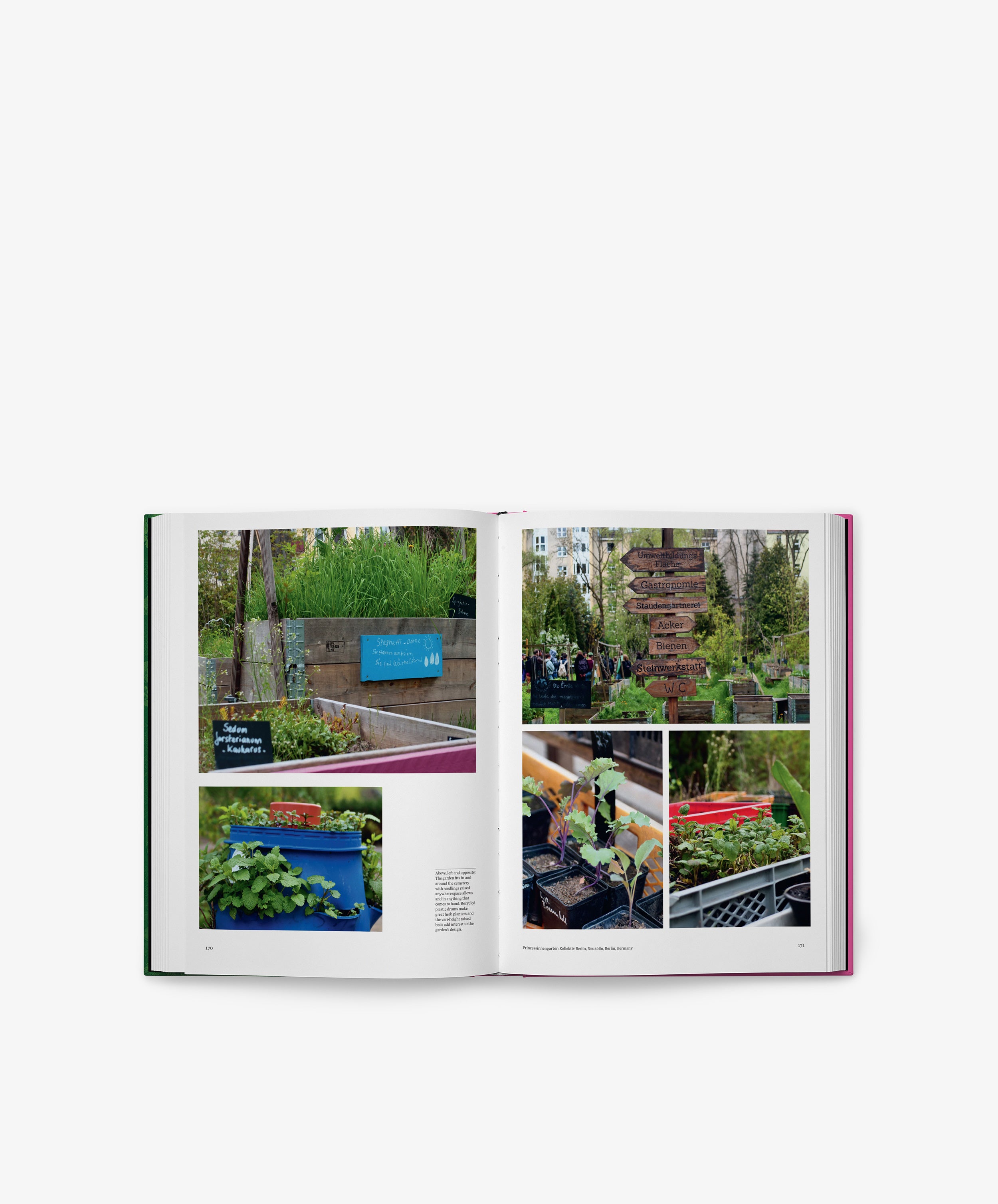 An open copy of The Kitchen Garden displays photos of a community garden, featuring raised beds, plant markers, a wooden signpost, and an array of leafy plants in containers—capturing both the evolving garden design and the spirit of growing gardens.