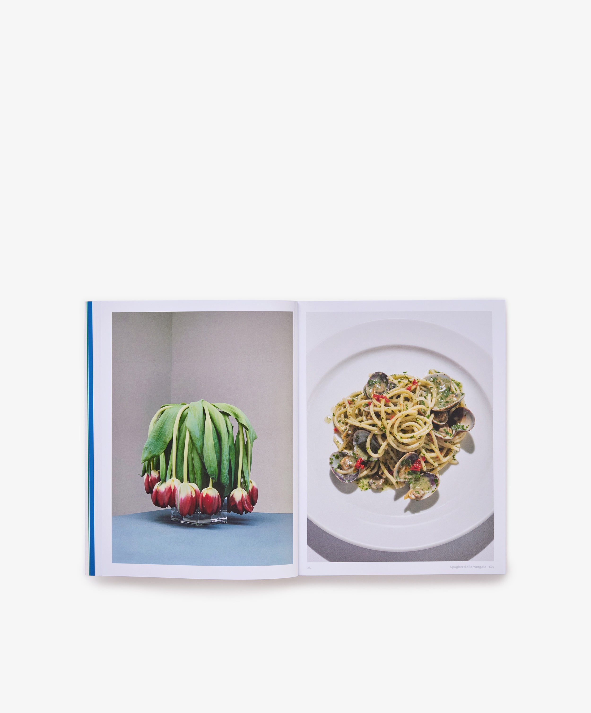 The River Cafe Look Book: Recipes for Kids of all Ages