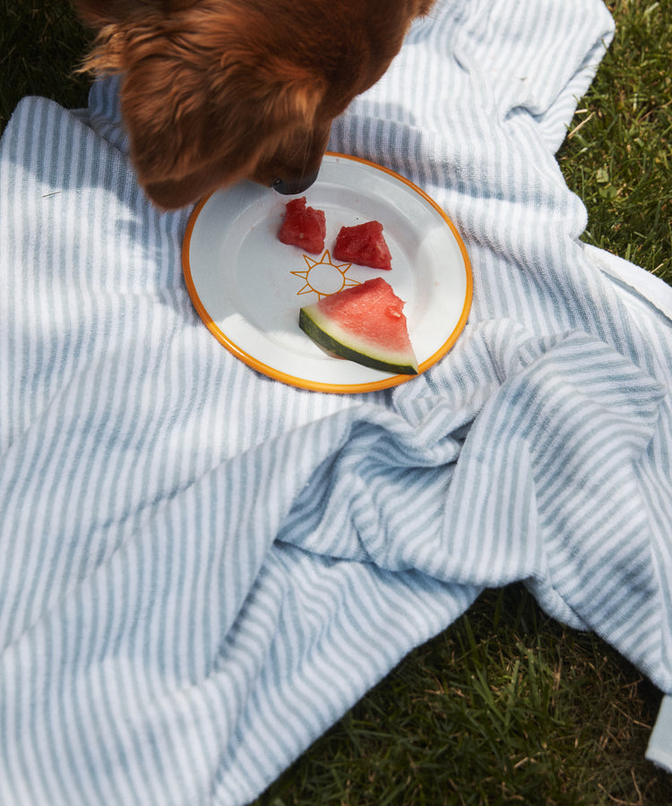 A dog sniffs the Il Sole Enamel Plate, Set of 2, with watermelon pieces on a blue and white striped blanket laid on grass.