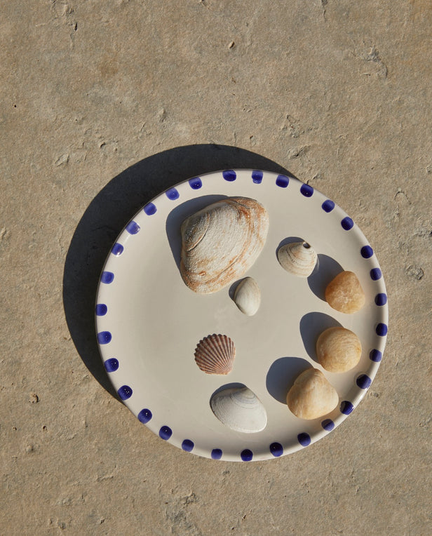 plate with seashells on it outside