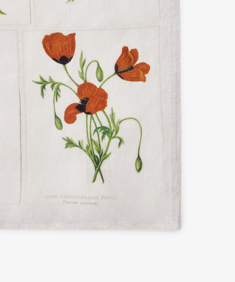 The John Derian Botanical Tiles Napkin, Set of 6, features a botanical illustration of red poppies with green stems and leaves. Text below reads: â€œLong Prickly-Headed Poppy. Papaver Argemone.â€ Printed on white linen fabric.