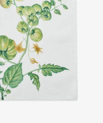 Botanical illustration of a green tomato plant—leaves, stems, yellow flowers, and unripe tomatoes—adorns the Tomate Verte Linen Napkin, Set of 6, inspired by Summerill & Bishop’s table linens on a crisp white background.