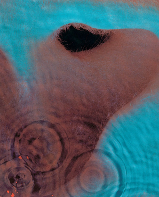 red and blue hues in water